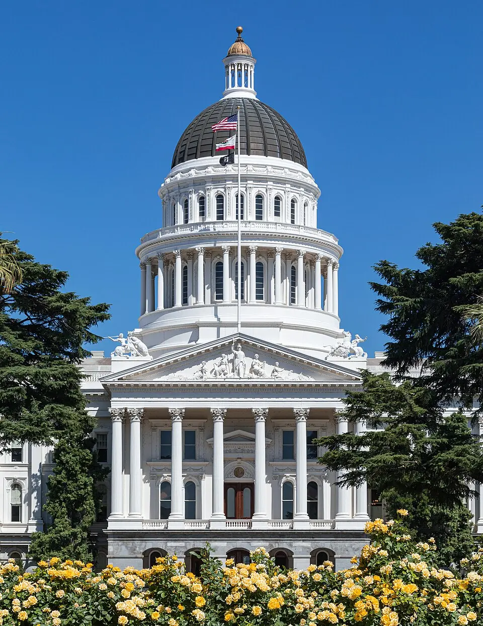 サクラメントのカリフォルニア州議会議事堂。手前に黄色いバラが咲く（2019年6月撮影）