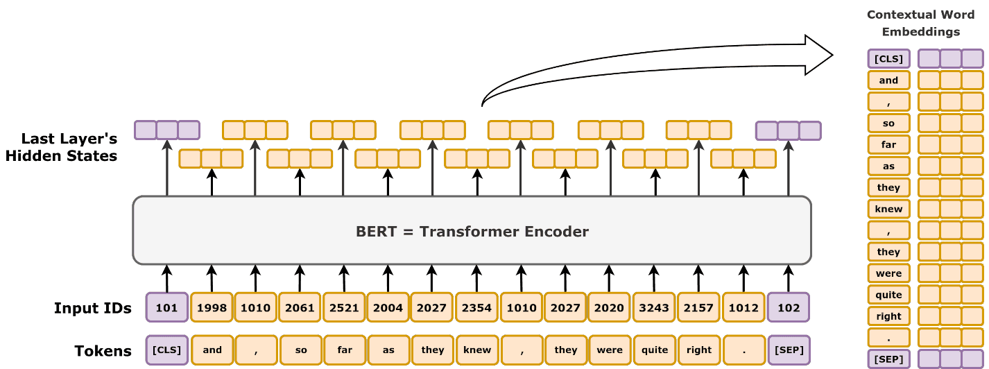 BERT embeddings architecture diagram