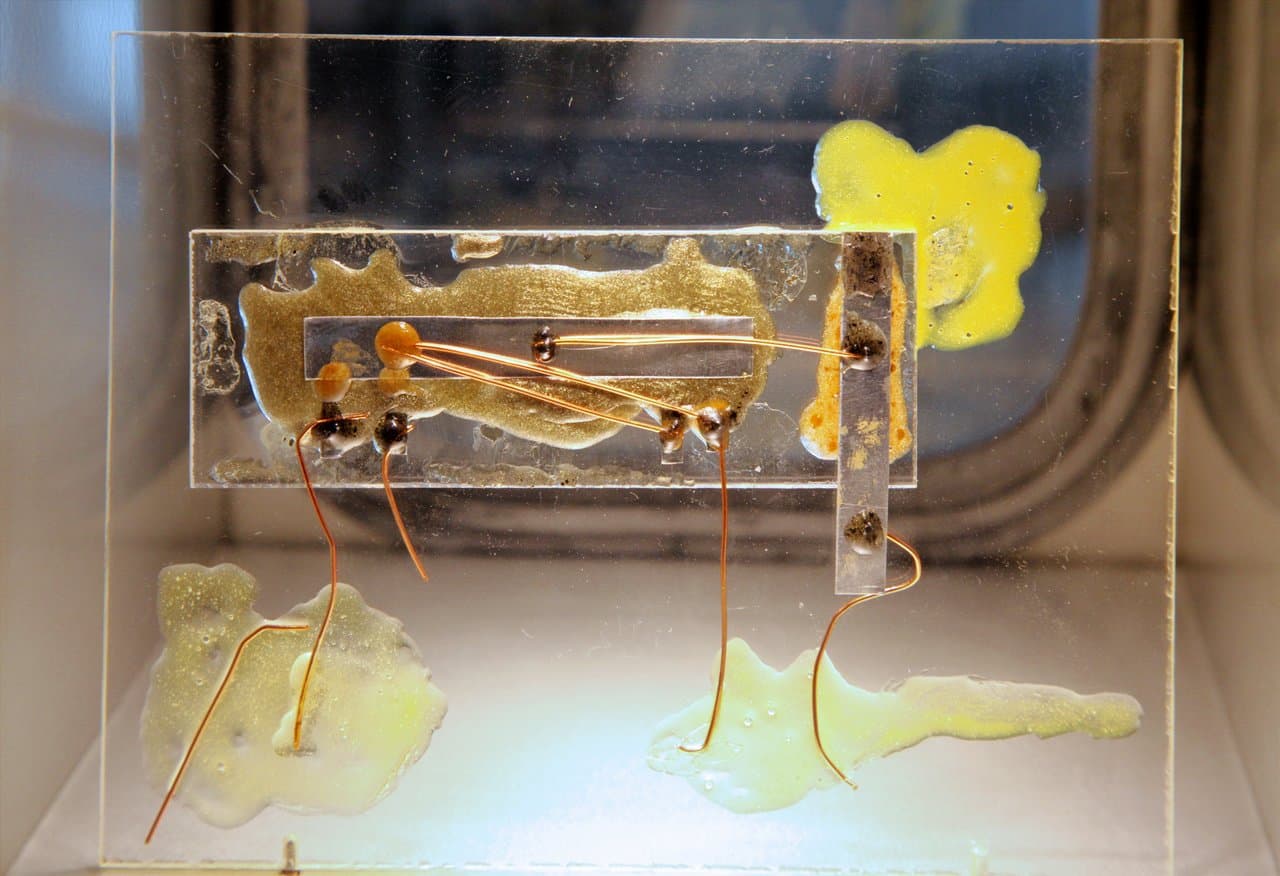 Replica of the first integrated circuit built by Jack Kilby in 1958, at the Heinz Nixdorf MuseumsForum